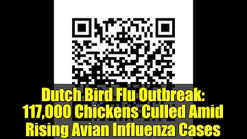 Dutch Bird Flu Outbreak: 117,000 Chickens Culled Amid Rising Avian Influenza Cases