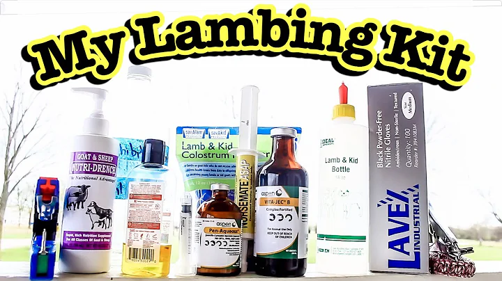 HOW TO PREPARE FOR LAMBING // WHAT'S IN MY LAMBING...