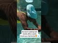 The Lie Ends Here: Swim Caps Can Work
