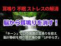 「1/fゆらぎ」がもたらす脳の静寂【音響療法】耳鳴り不眠を改善する滝の音