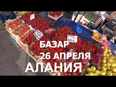 Аланья турция в апреле. Алания рынок клубника. Фрукты в Турции в апреле. Фрукты в Турции в апреле-мае. Фрукты Алании Турция.