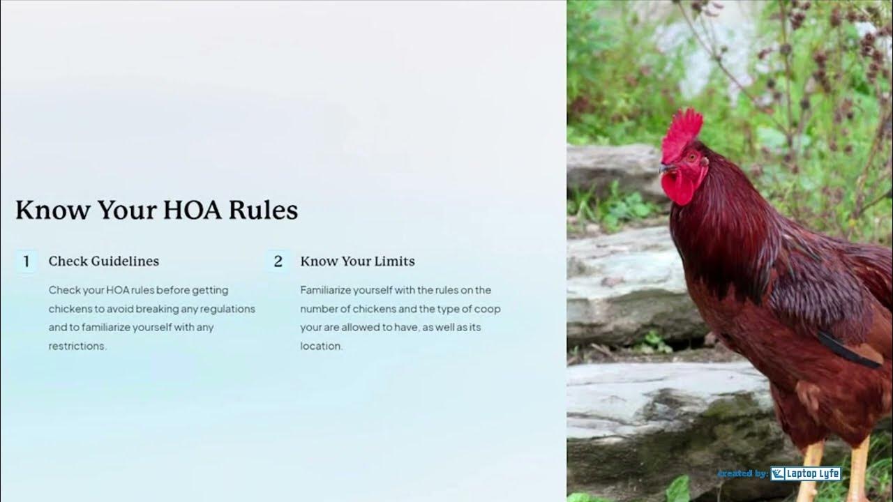 Top Tips For Raising Chickens in an HOA Neighborhood by Laptop Lyfe and my AI Tool Friends YouTube