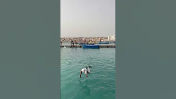 كيف العاد الدلية وناس ها زوينين 