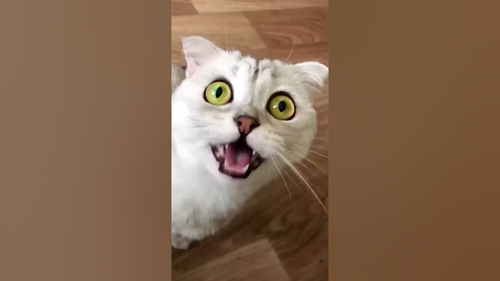 AaAaAaA