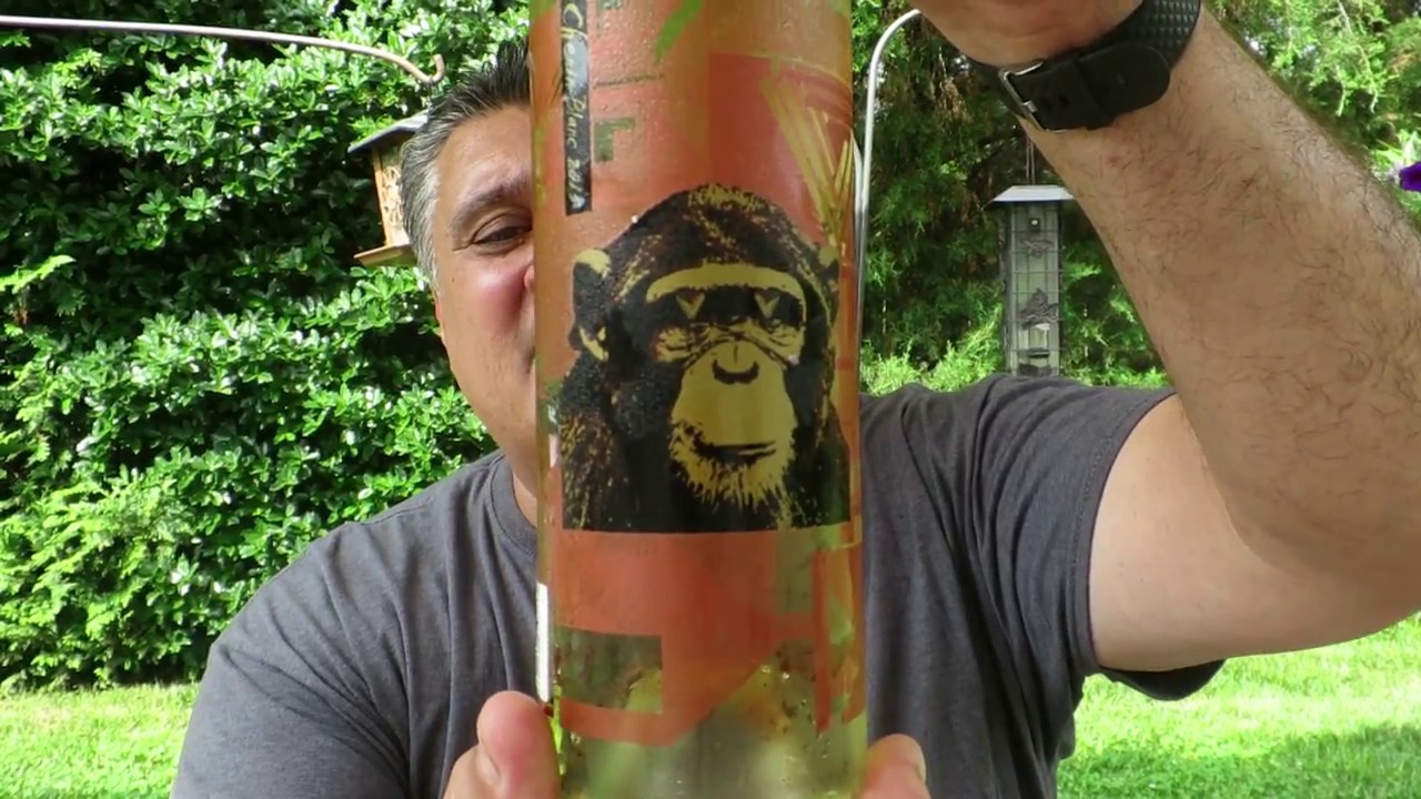 Review: Infinite Monkey Theorem Chenin Blanc. Denver, CO - YouTube