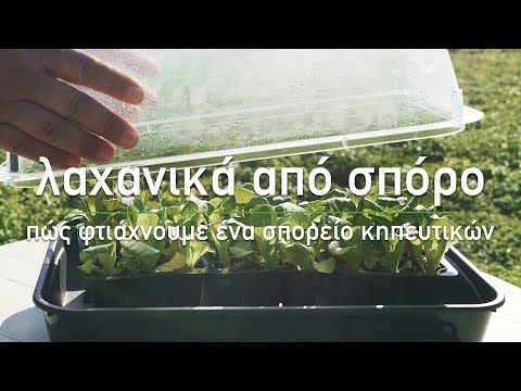 🌱 Πώς φτιάχνουμε σπορείο για καλλιέργεια λαχανικών από σπόρο - Τα Μυστικά του Κήπου