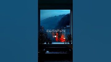واذا قرئ القران فأستمعوا له…| 🤍#قرآن #تلاوة_خاشعة #ياسر_الدوسري #راحة_نفسية #تابعوني #اكسبلور #لايك