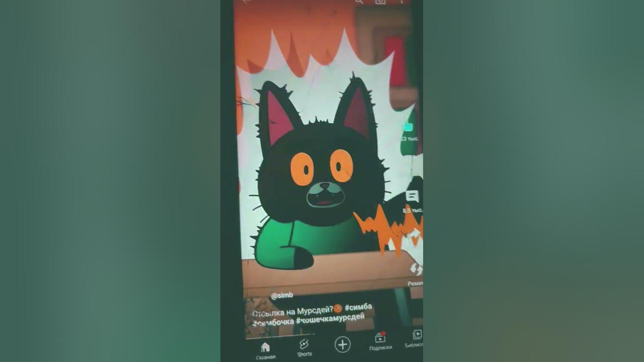 кошечка мурсдей - YouTube