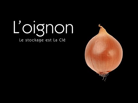 Vidéo: Préparation De L'oignon Pour Le Stockage