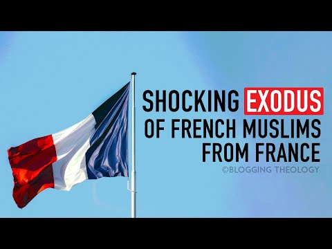Video: A kanë bulldogët francezë probleme shëndetësore?