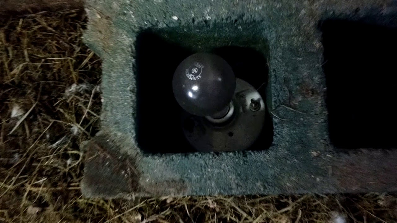 Keeping your water from freezing in your chicken coop YouTube