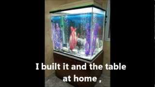 Аквариум я построил сам my diy aquarium אקווריום