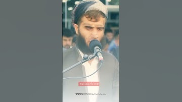 (فلا اقسم بمواقع النجوم ) القارئ رزكار محمد الكردي