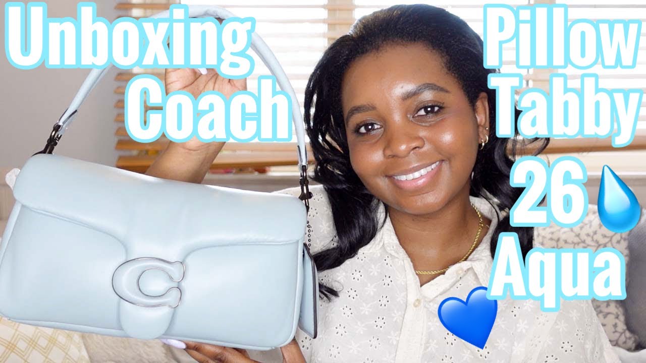 Everything You Need to Know About the Coach Pillow Tabby Bag
