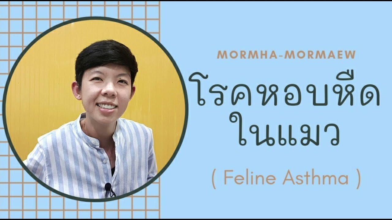 โรคหอบหืดในแมว ( Feline Asthma ) สาเหตุ อาการและการรักษา  #หมอหมาหมอแมว #สัตวแพทย์ #Vet