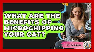 What Are The Benefits Of Microchipping Your Cat? - Happy Cat Handbook