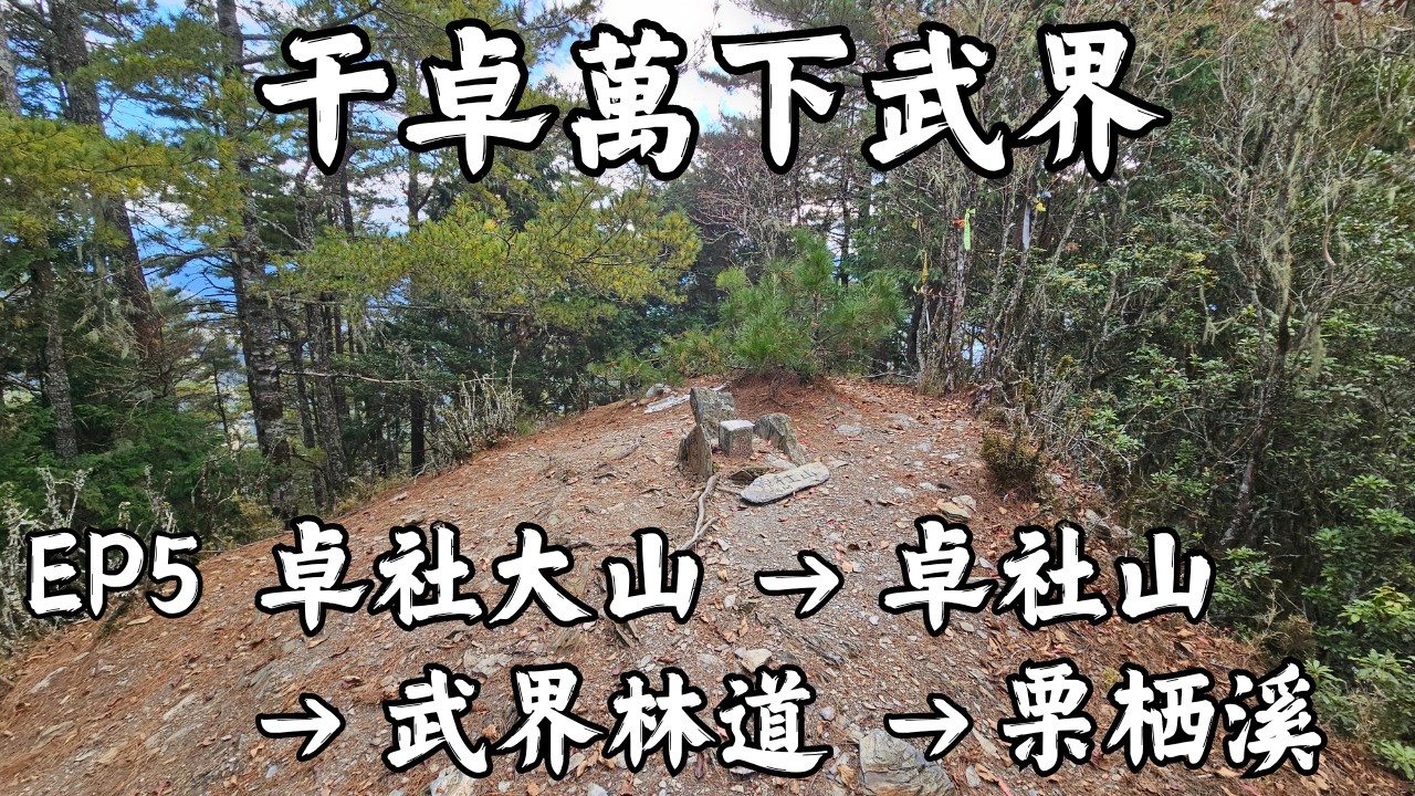 [百岳] 干卓萬下武界四天三夜｜EP5｜卓社大山 → 2899鞍營 → 卓社山 → 武界林道 → 栗栖溪