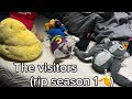 S3bastianPlayz The Visitors S1 E20 Additional Note Rip Season 1 