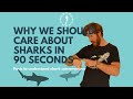 WHY WE SHOULD CARE ABOUT SHARKS IN 90 SECONDS! - A summary of Shark conservation in under 2 minutes!