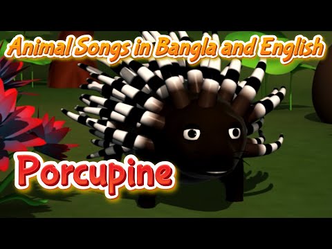 Porcupine Song in