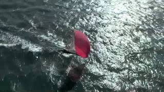J111 Sailing Newport- the ultimate sailing day!