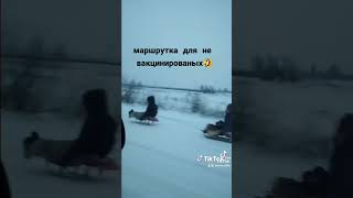 Маршрутка Для Не Вакцинированых🤣