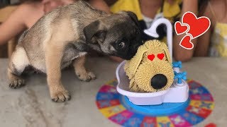 PAN CONOCE A DOGGY | JUGANDO BAÑA A DOGGY