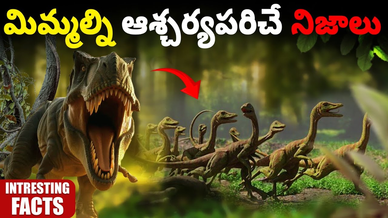 100 Interesting Facts In Telugu | Episode 10 Facts In Telugu new | Facts Telugu | Facts Forever