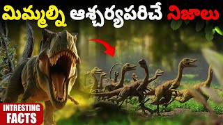100 Interesting Facts In Telugu Episode 10 Facts In Telugu New Facts Telugu Facts Forever
