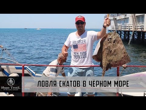 Такой рыбалки на Черном море никто не ожидал! Ловим скатов(морскую лису) на удочку / ИванTrotiL