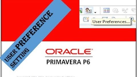 Primavera P6 User Preferences | Customize Your Workspace Like a Pro