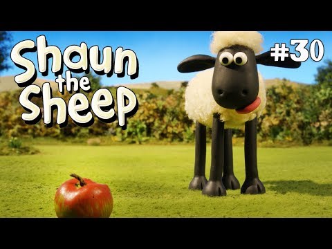 Fruit and Nuts | Shaun the Sheep Season 4 | Full Episode