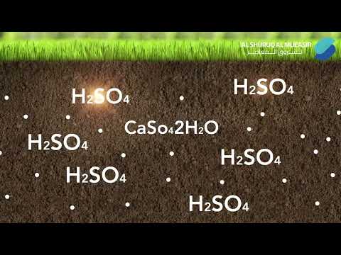 استخدام الجبس الزراعي لاستصلاح التربة في الموسم الخريفي