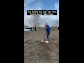 How To Stop Dog Reactivity