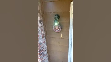 9/24/25 Told to document that my neighbor records into the other tenants windows with a 360camera