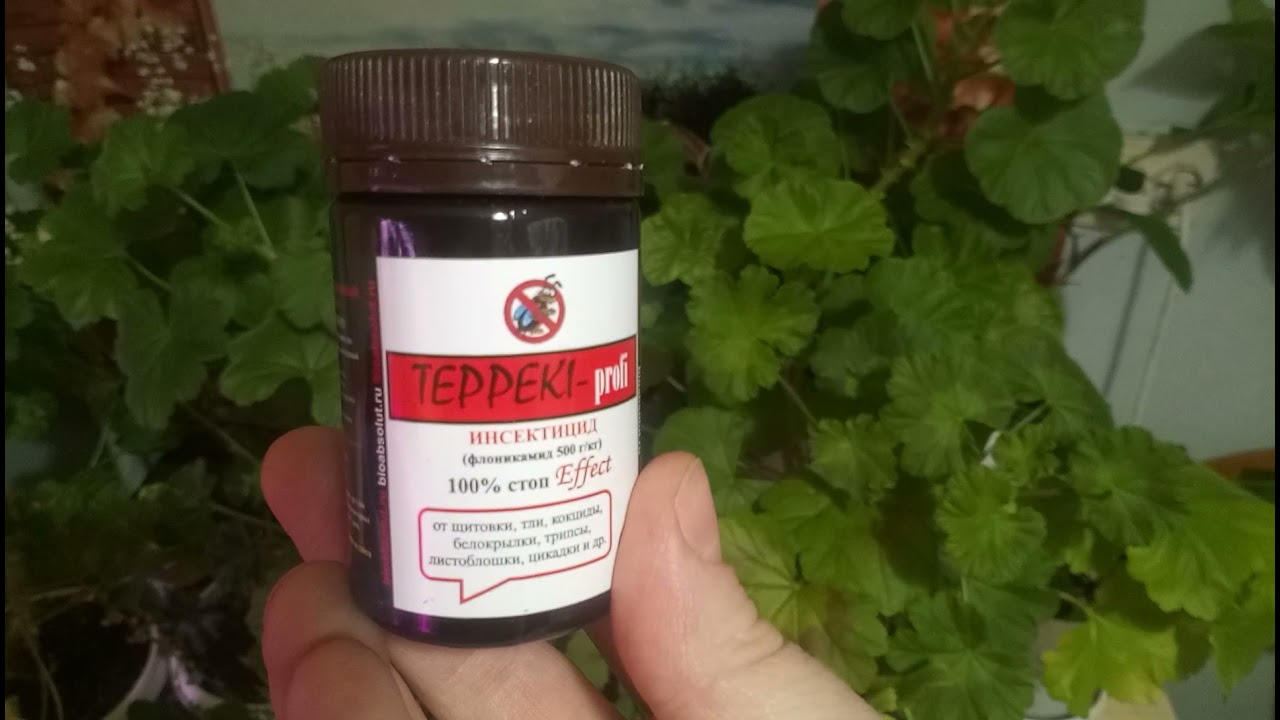 Супер средство от белокрылки!!! Теппеки!!!