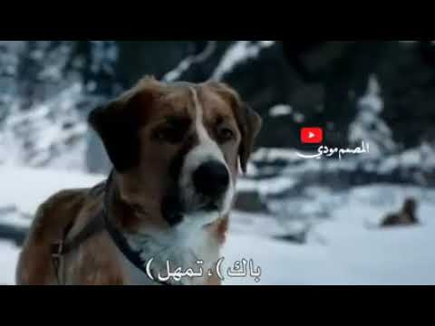 اغنية الجوكر الذي هزت العالم