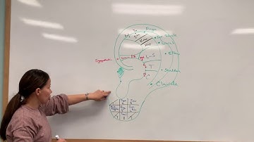 Class 1 Whiteboard  Representations 2
