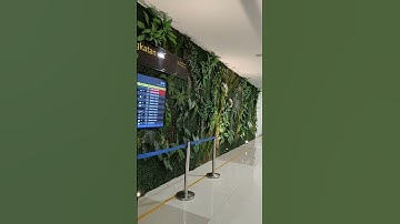 Ke Bandara Sultan Hasanuddin Makassar untuk liburan ke Bali