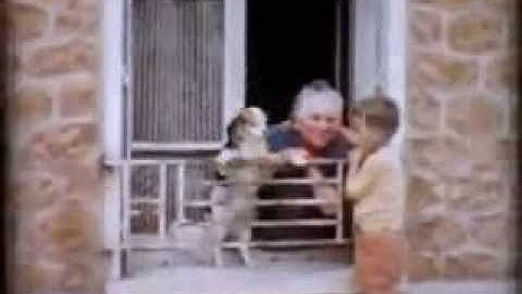 Future of the Left - French lessons