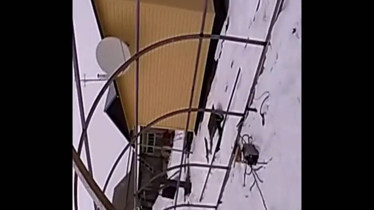 Сколько стоит цветок в вакууме Сколько стоит цветок в вакууме