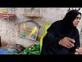 BIG PARROTS in Lalukhet Sunday Market! 🦜 Fazal Bhai finds Macaws & African Greys | Sept 21, 2025