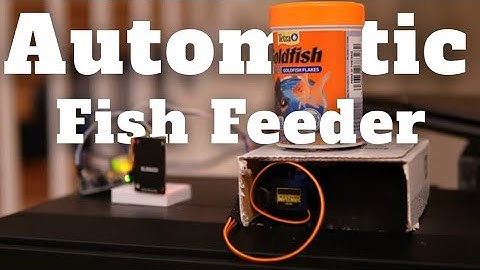 Arduino projects for beginners | Automatic fish feeder