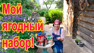 Мой ягодный набор: всё, что нужно для урожая любых ягод!