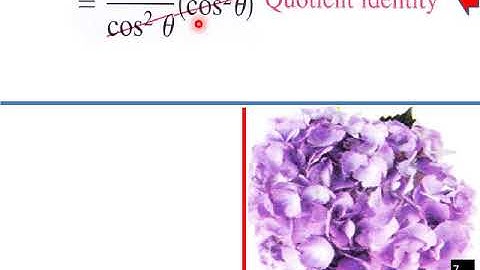 5 2 Verifying Trig Identities P Calc CW L V Pt 1