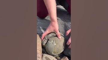 Huge Rock Cracked Open To Reveal Amazing Fossil