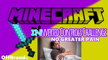 Minecraft But My Controls Are Inverted (CURSED) (Challenge)
