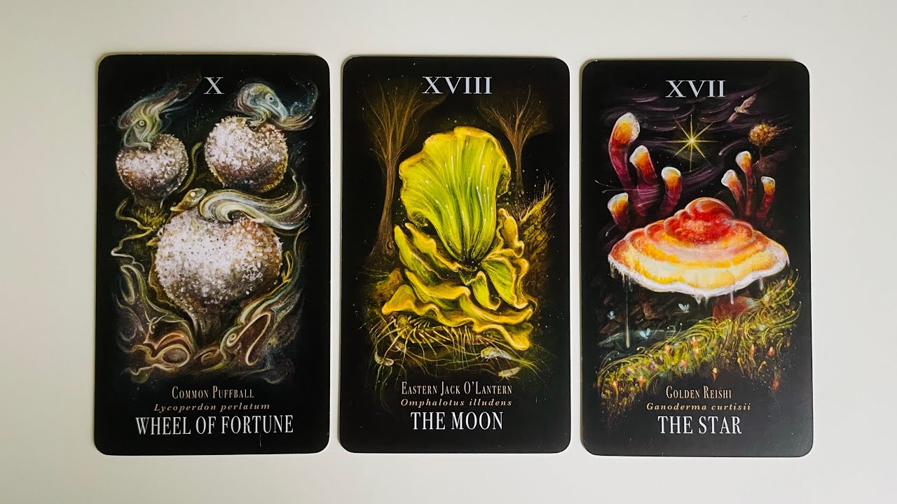 Your Future Spouse Revealed - Pick a Card - Timeless Tarot