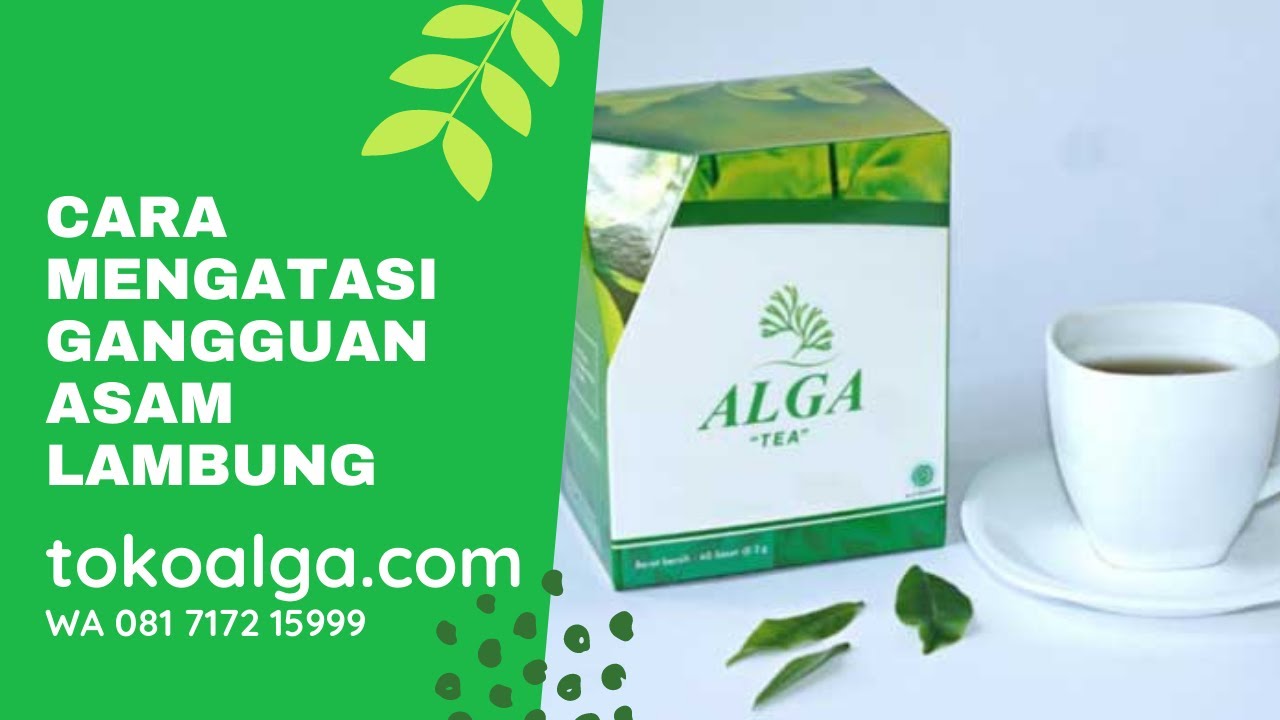 Cara Mengatasi Gangguan Asam Lambung - Info Hubungi: 081717215999