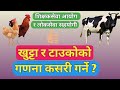 IQ For Head and Leg Count Of Animal || खुट्टा र टाउकाको गणना सम्बन्धि समधान || IQ - EP - 04